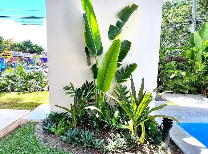 5th Avenue Oasis 8 Personas Playa del Carmen