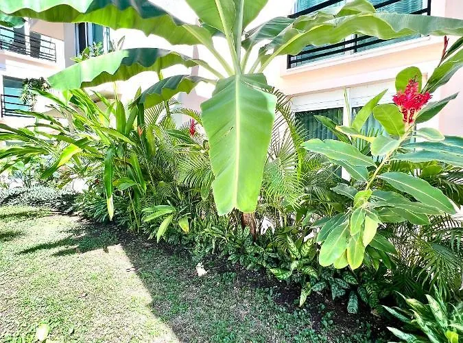 Appartement 5th Avenue Oasis 8 Personas Playa del Carmen