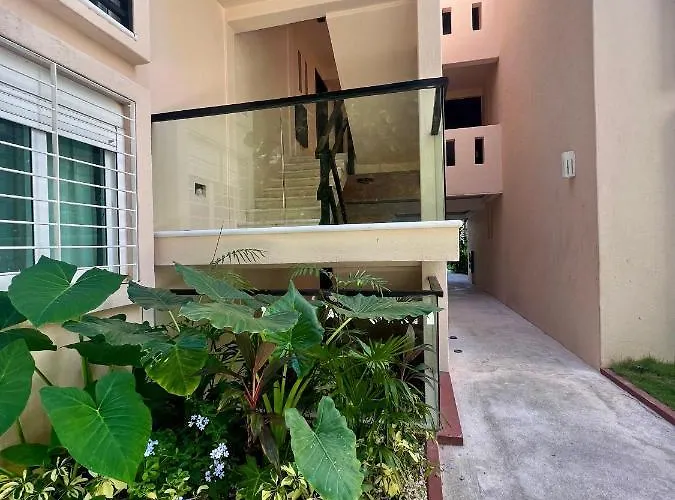 5th Avenue Oasis 8 Personas *